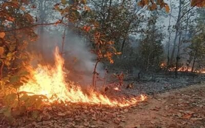 चमोली: भीमतला के जंगलों में अभी भी सुलग रही आग, चारों ओर फैली गहरी धुंध–