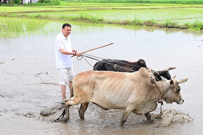 किसान