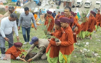 चमोली: हरेला पर लगाए पौधे, हरित क्षेत्र बढ़ाने का लिया संकल्प–