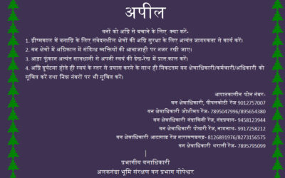अलकनंदा भूमि संरक्षण वन प्रभाग ने की वनों को आग से बचाने की अपील-