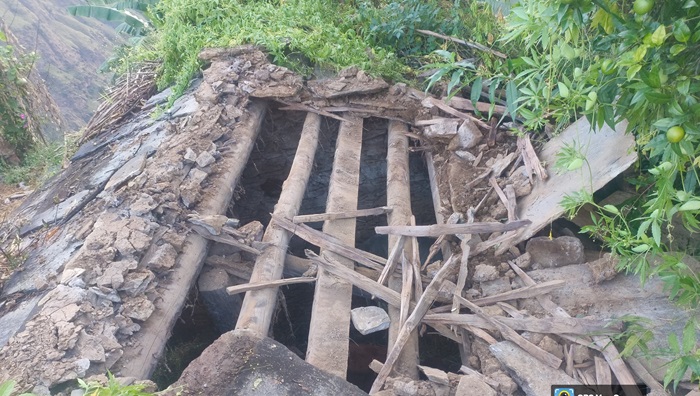 नैव्वा तोक में भालू ने तोड़ी गौशाले की छत नैव्वा तोक में भालू ने तोड़ी गौशाले की छत