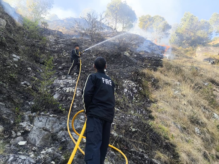 चमाेली: जंगल में भड़क उठी आग, फायर सर्विस की टीम ने आग बुझाने का किया प्रयास–
