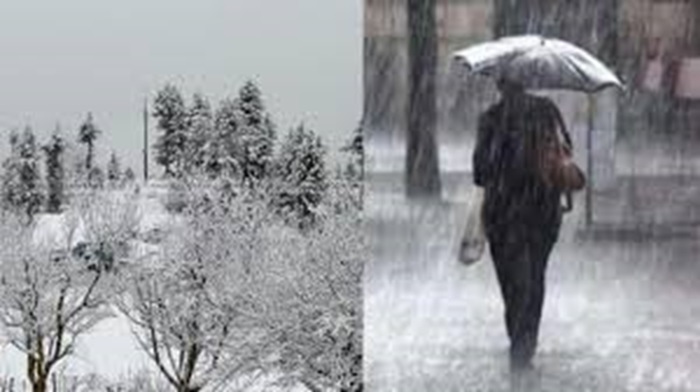 सांकेतिक फोटो- सांकेतिक फोटो-