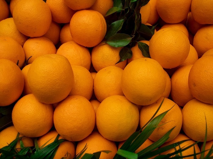 चमोली: चमोली जनपद में उद्यान विभाग ने बेचा 100 क्विंटल से अधिक का माल्टा–