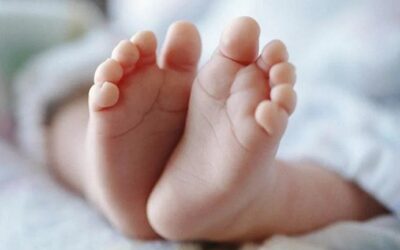 चमोली: जंगल में मिला सवा आठ माह के नवजात का शव, पुलिस ने किया बरामद–