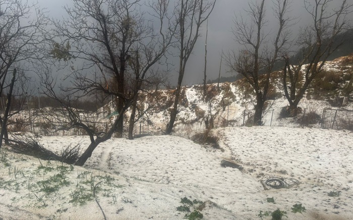 मौसम: चमोली जनपद में बदला मौसम, जोशीमठ में झमाझम बारिश, बदरीनाथ में हुई बर्फबारी–