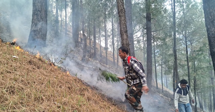 देखें वीडिय