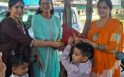 चमोली: गोपेश्वर में संकल्प अ​​भियान के तहत पेड़ों पर महिलाओं ने बांधे रक्षासूत्र–