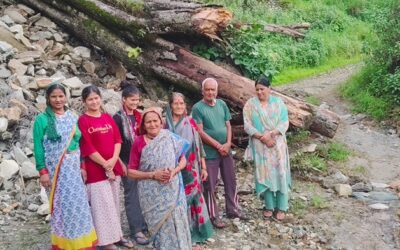 चमोली: पीपल का पेड़ टूटने से प्राकृतिक कुआं क्षतिग्रस्त, पानी को तरसे ग्रामीण–