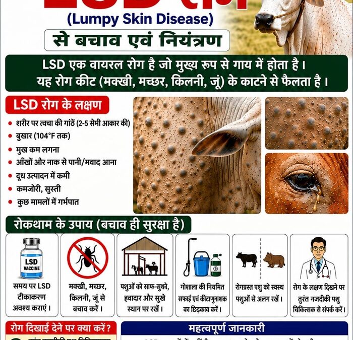 चमोली: पशुओं को लंपी स्किन डिजीज से बचाने के लिए पशुपालन विभाग ने जारी की एडवाइजरी–