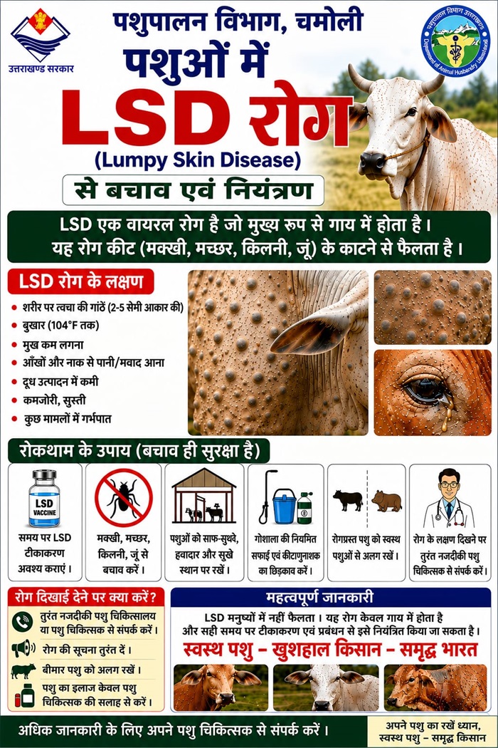 चमोली